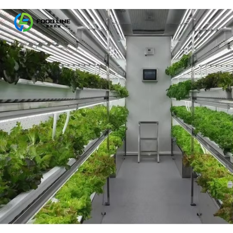 Agriculture Vertical Farming - Customized Smart Farm Vertical NFT Hydroponic