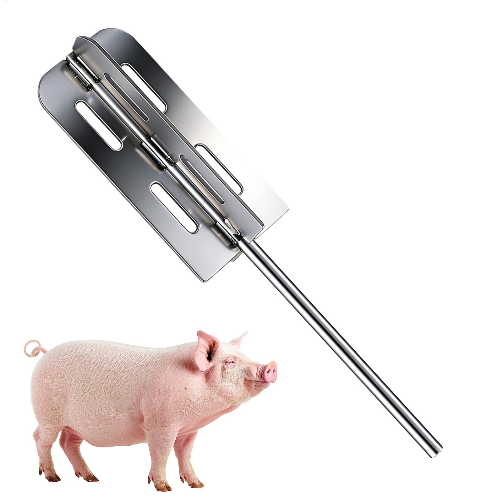 Farming Equipment For Agriculture - Hog Hair Removal Tool Stainless Steel
