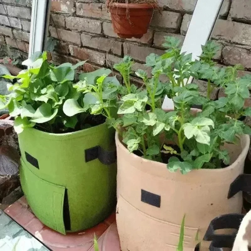 3Styles Felt plant grow bags n - Agriculture Vertical Farming recension och pris