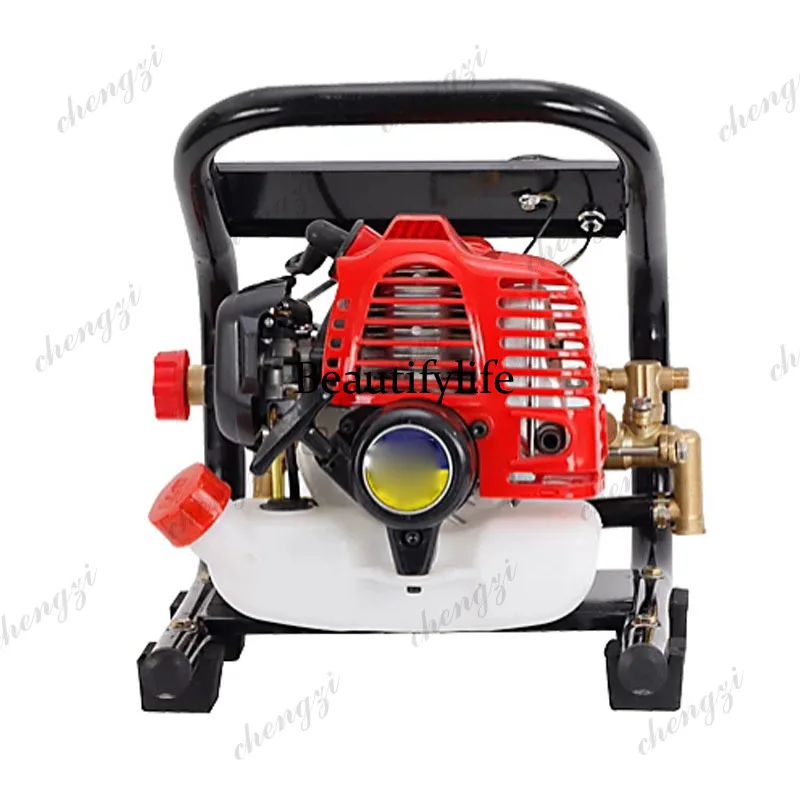 2-Stroke High Pressure Sprayer - Agriculture Gardening Farming recension och pris