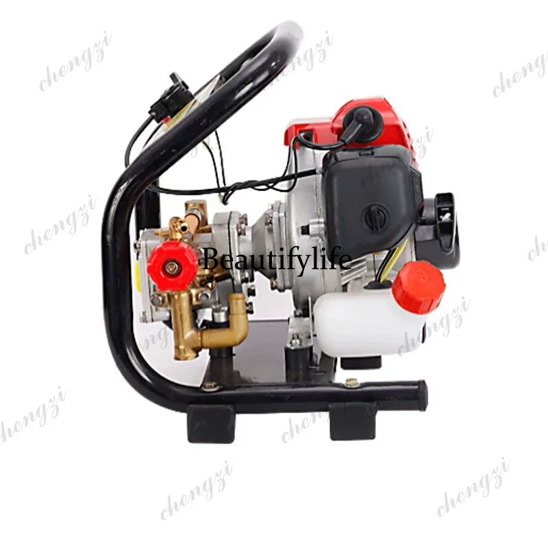 2-Stroke High Pressure Sprayer - Agriculture Gardening Farming recension och pris