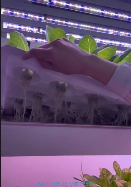 f Greenhouse Agricultural Equi - Agriculture Farming Vegetables recension och pris