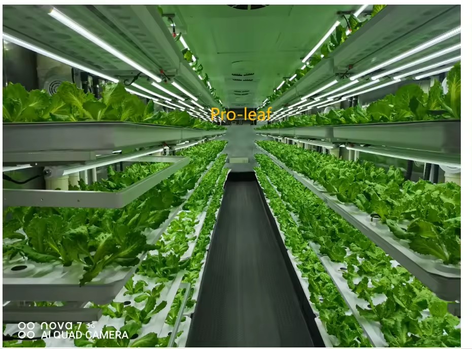 f Greenhouse Agricultural Equi - Agriculture Farming Vegetables recension och pris