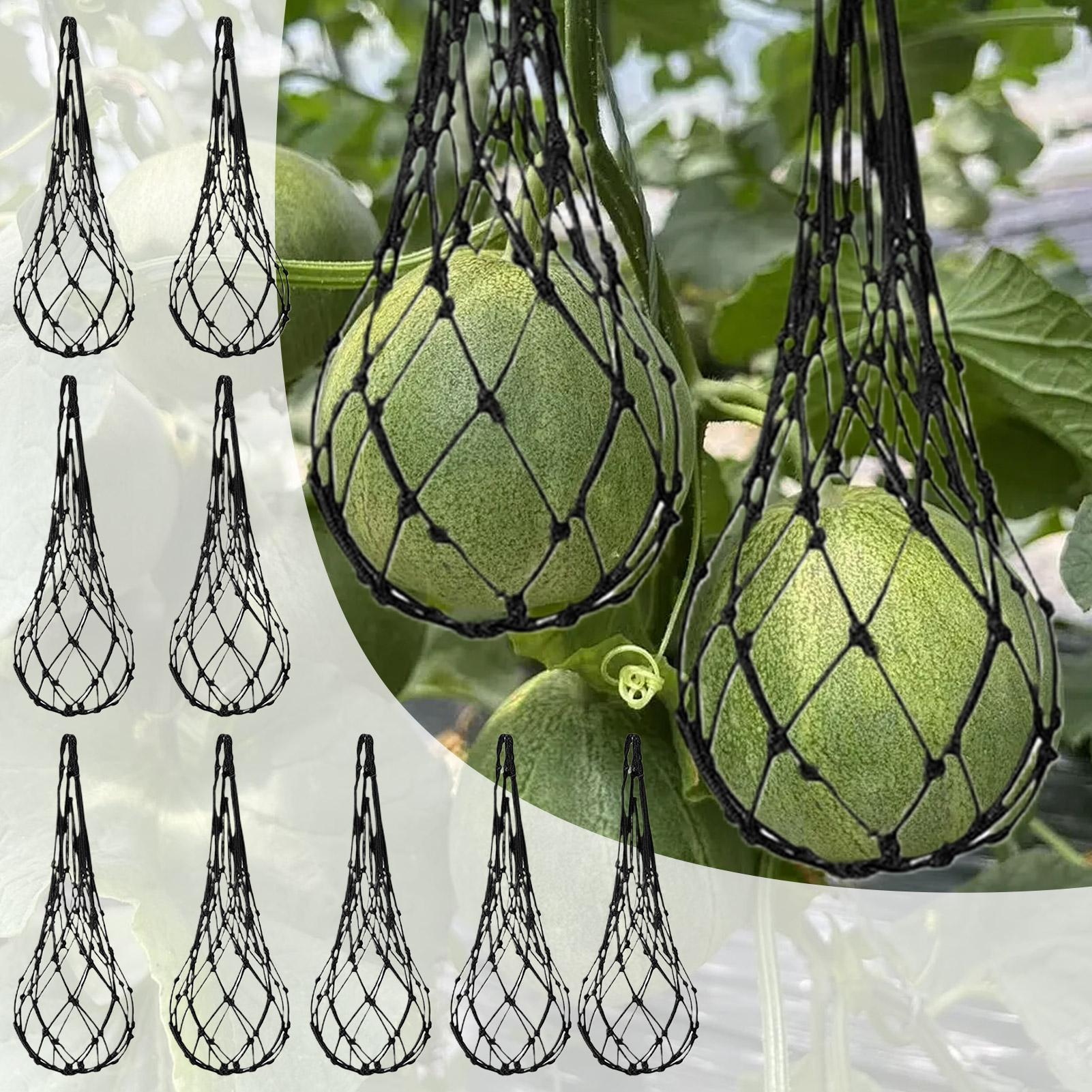 10pcs Watermelon Nets Garden V - Agriculture Vertical Farming recension och pris