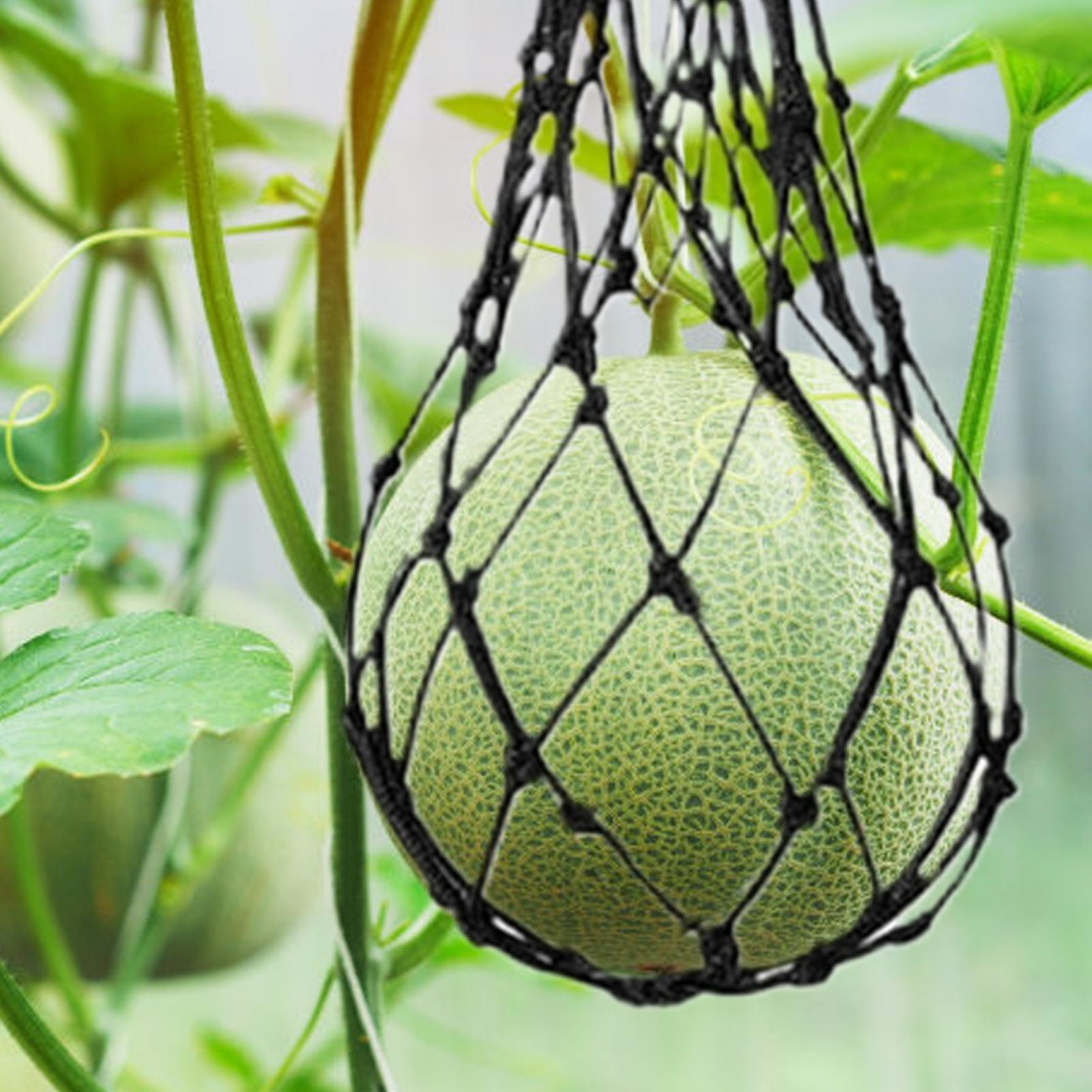 10pcs Watermelon Nets Garden V - Agriculture Vertical Farming recension och pris