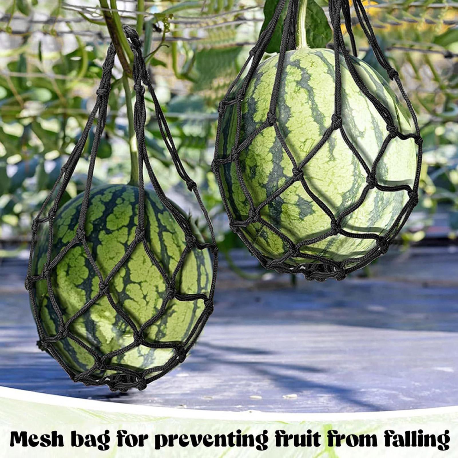 10pcs Watermelon Nets Garden V - Agriculture Vertical Farming recension och pris