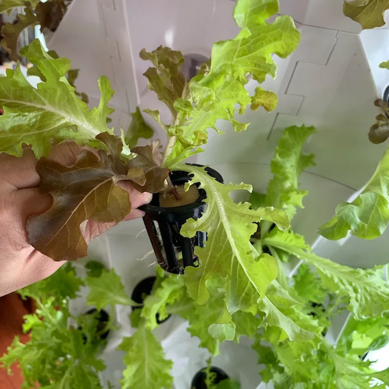 Agricultural Greenhouses Verti - Agriculture Vertical Farming recension och pris