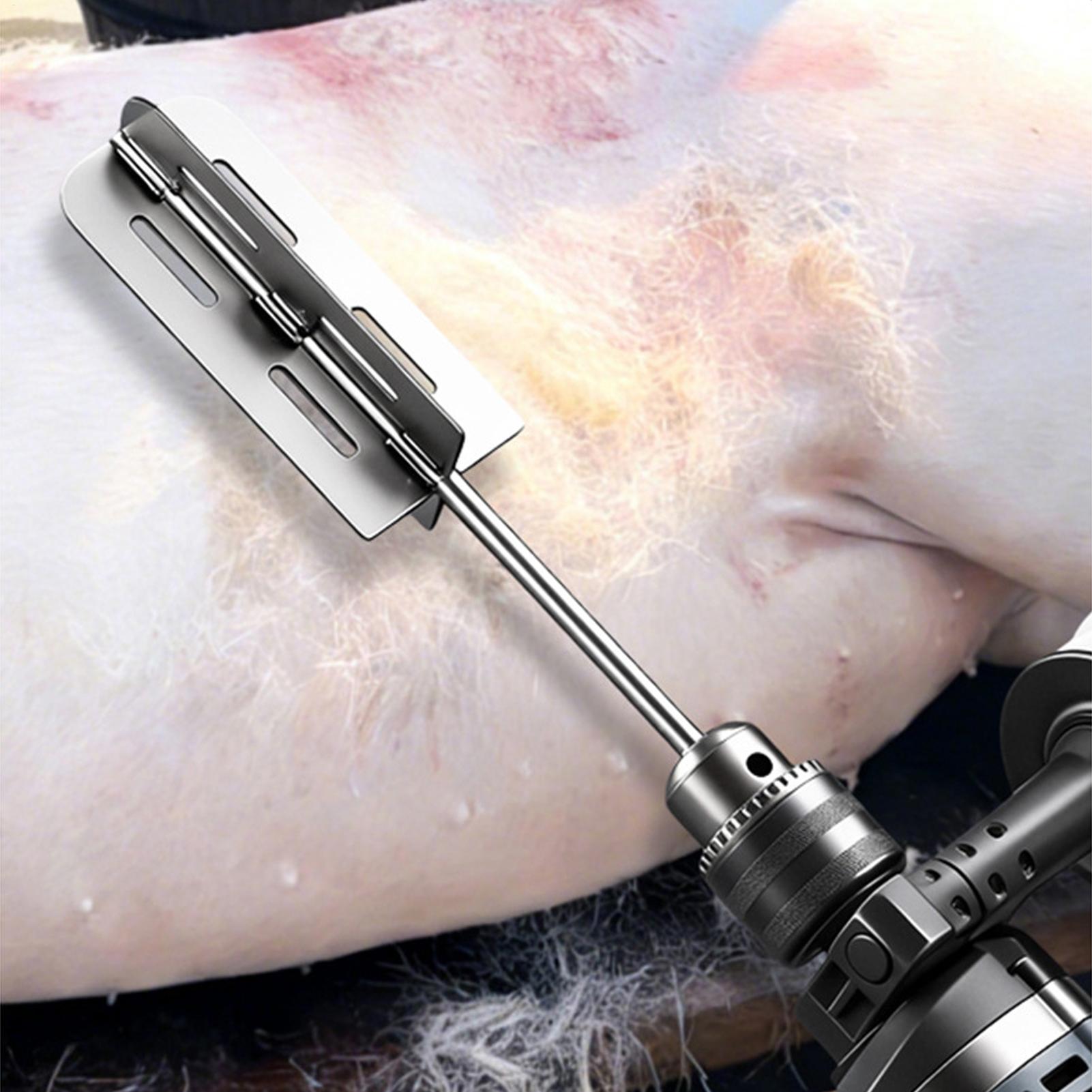 Hog Hair Removal Tool Stainles - Farming Equipment For Agriculture recension och pris