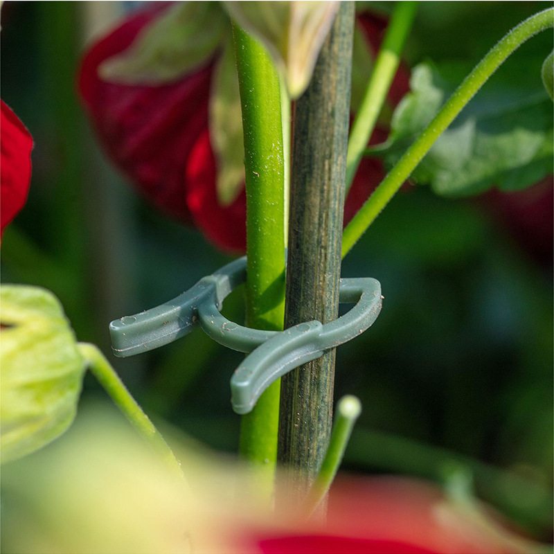 50/100pcs Garden Plant Clips V - Agriculture Vertical Farming recension och pris