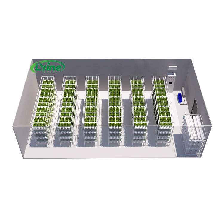 Agricultural Greenhouses Lettu - Agriculture Vertical Farming recension och pris